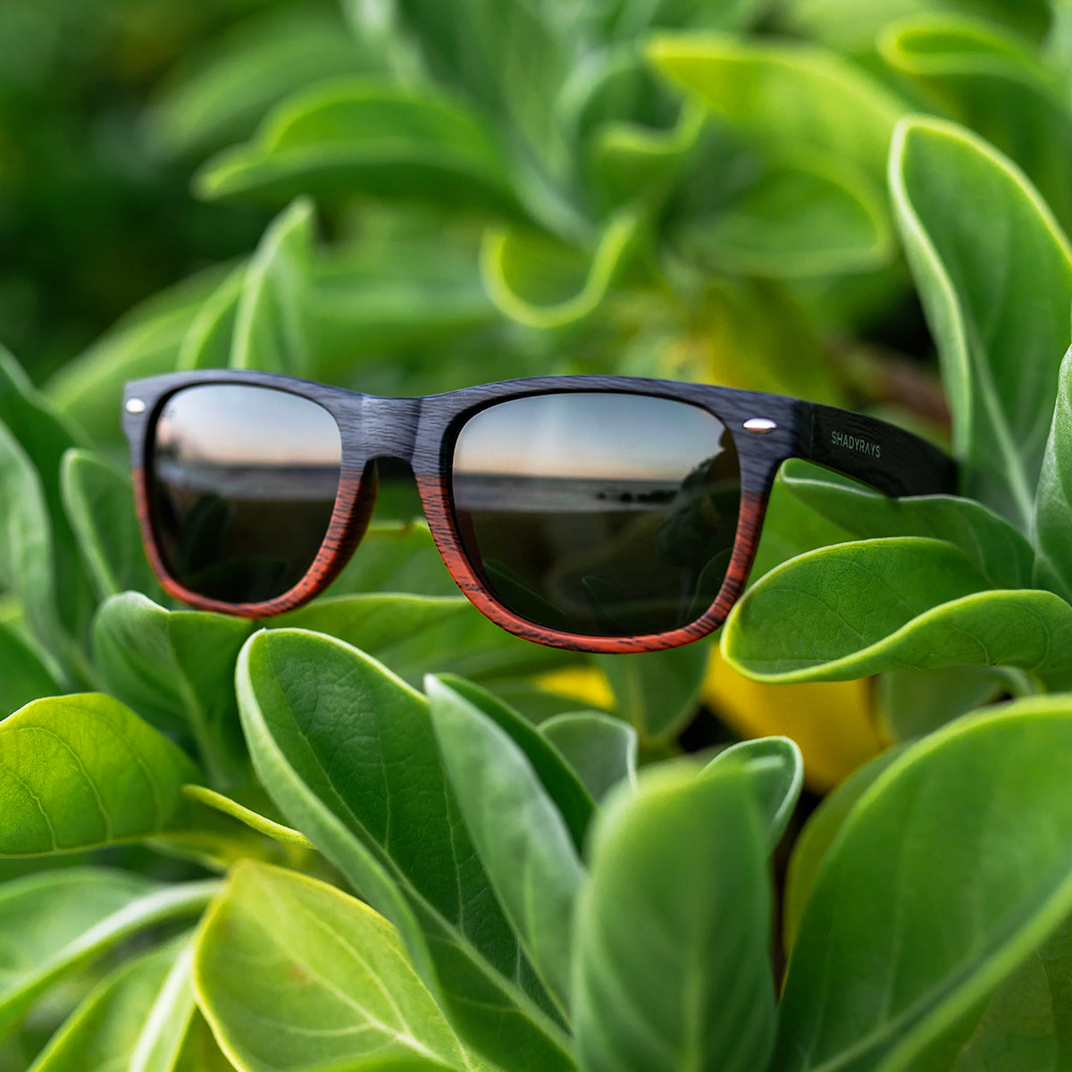 Classic Timber - Dual Timber Polarized - Image 4