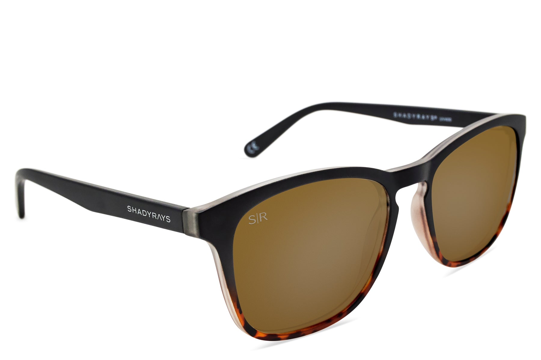 Cypress - Black Tortoise Polarized - Image 3