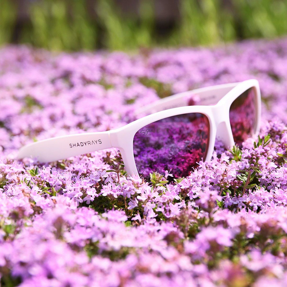 Kid's Signature Series - White Purple Polarized - Image 5