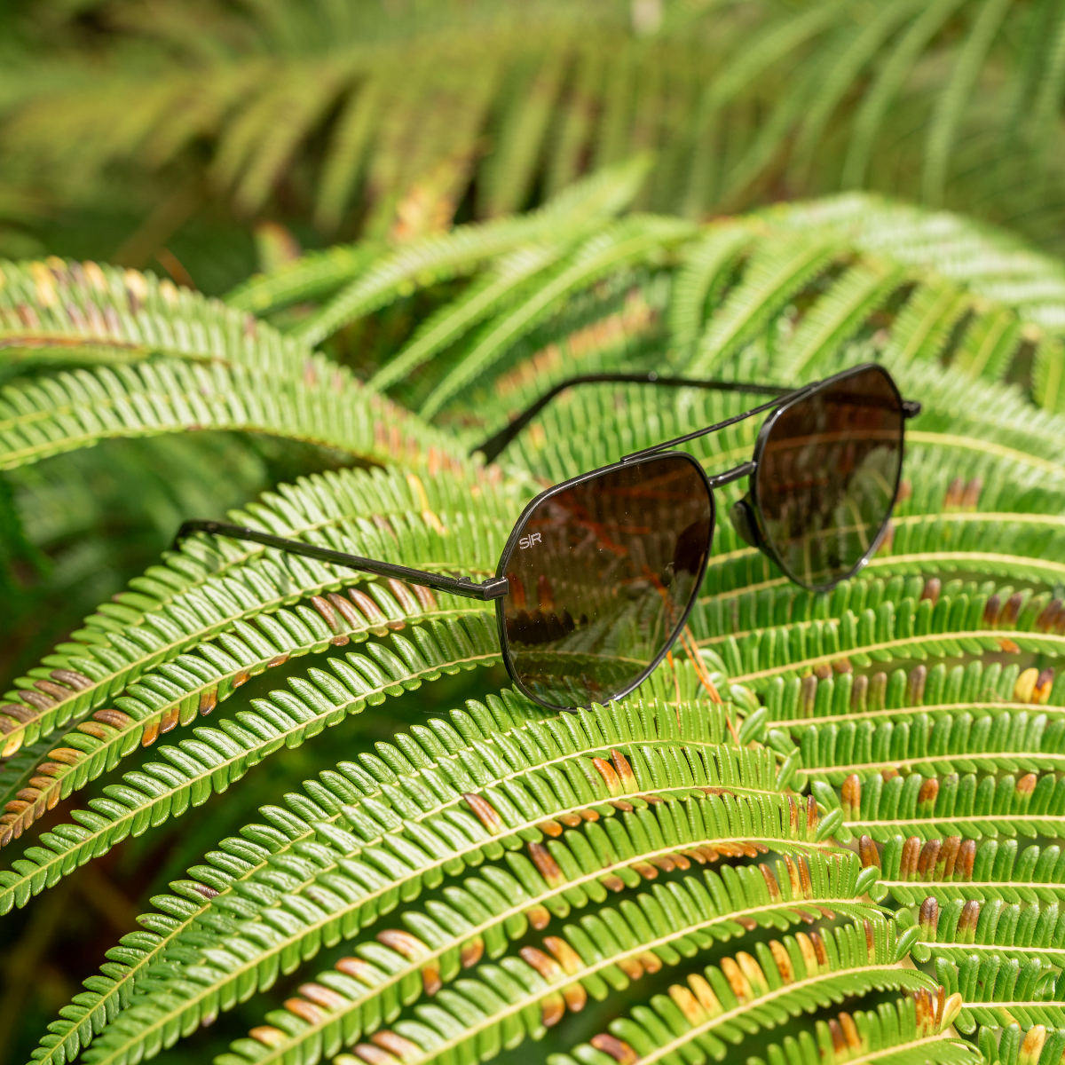 Tangle Free Aviator Hex - Black Fade Polarized - Image 6