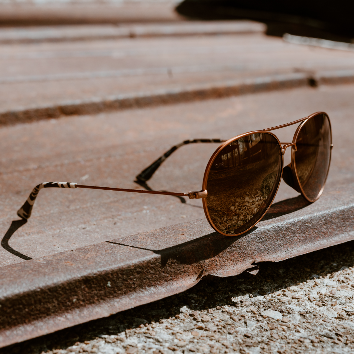 Tangle Free Aviator - Prairie Tortoise Polarized - Image 6